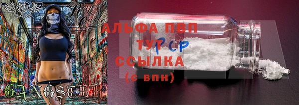 ГАЛЛЮЦИНОГЕННЫЕ ГРИБЫ Богданович