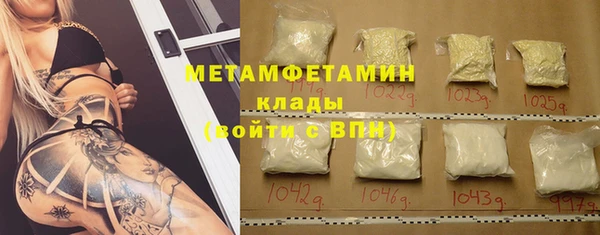 ГАЛЛЮЦИНОГЕННЫЕ ГРИБЫ Богданович