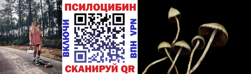Псилоцибиновые грибы GOLDEN TEACHER  где продают наркотики  Дорогобуж 