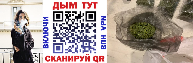 где найти   Дорогобуж  Каннабис SATIVA & INDICA 